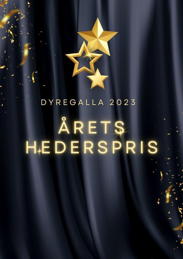 Kategori-arets-hederspris