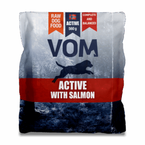 Active-with-salmon-skygge