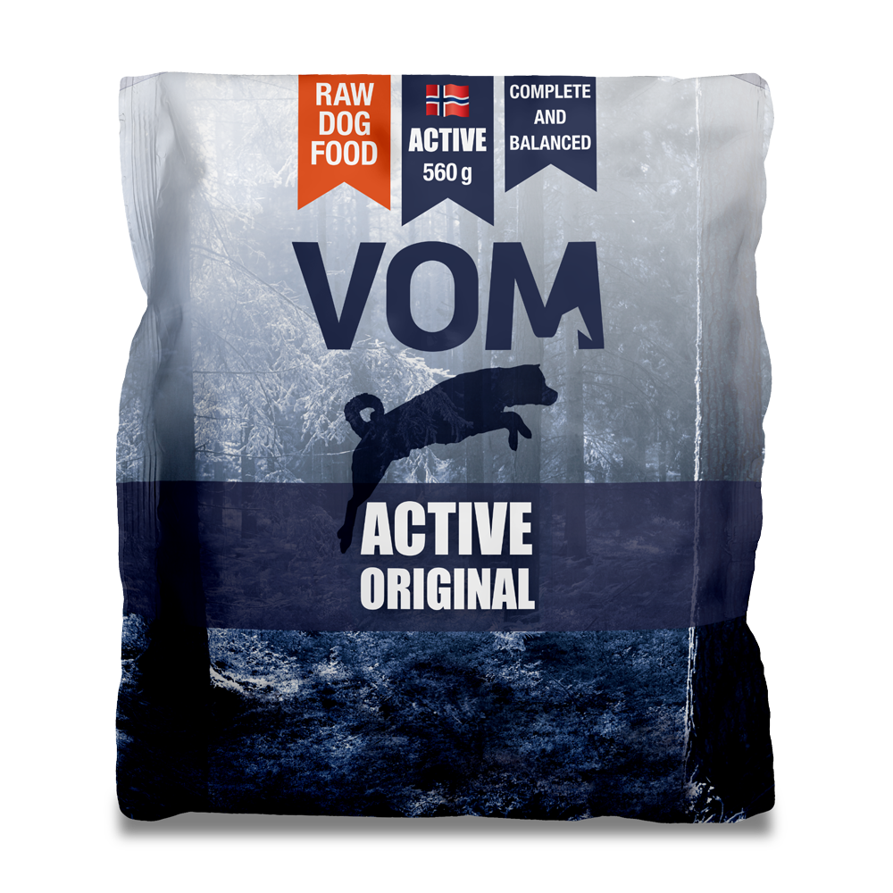 Active-Original-560pose