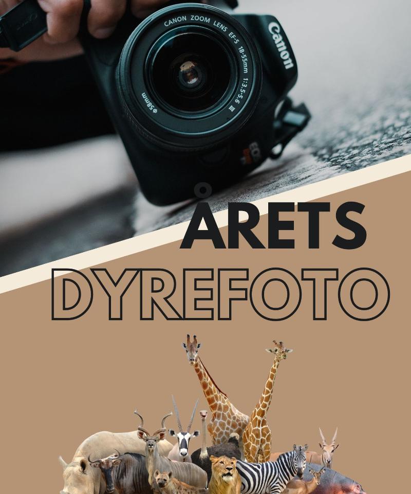 Kategori-arets-dyrefoto