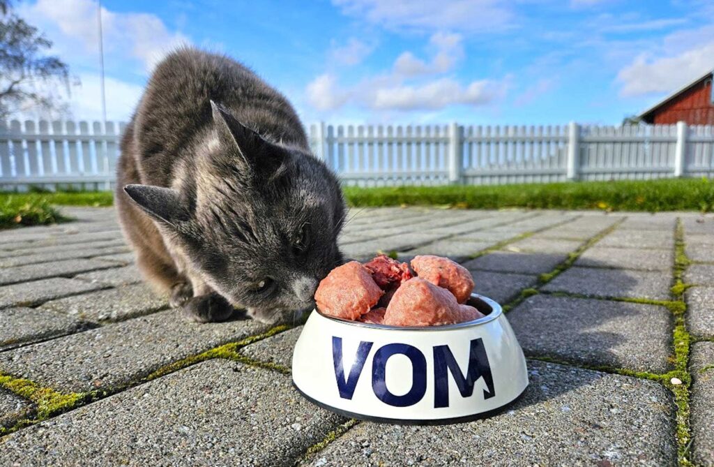 vom-katt-nytt-design2