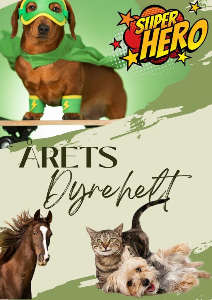 Kategori-arets-dyrehelt